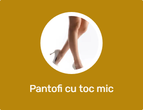 Pantofi cu toc mic