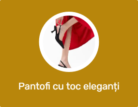 Pantofi cu toc eleganți