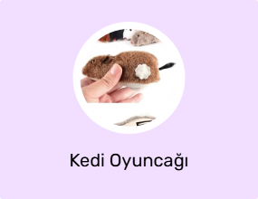 Kedi Oyuncağı