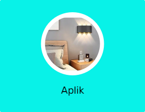 Aplik