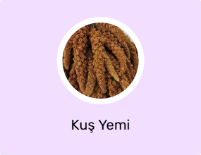 Kuş Yemi