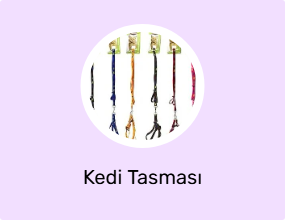 Kedi Tasması