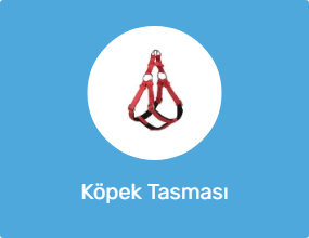 Köpek Tasması