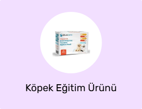Köpek Eğitim Ürünü