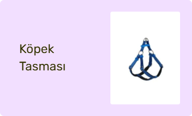 Köpek Tasması