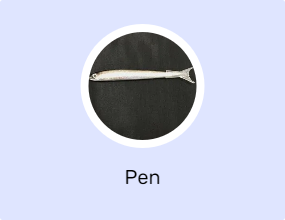 Pen