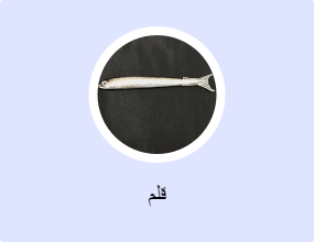 قلم