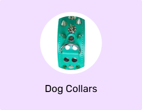 Dog Collars