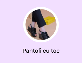 Pantofi cu toc