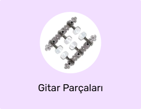 Gitar Parçaları