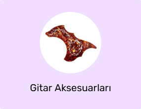 Gitar Aksesuarları