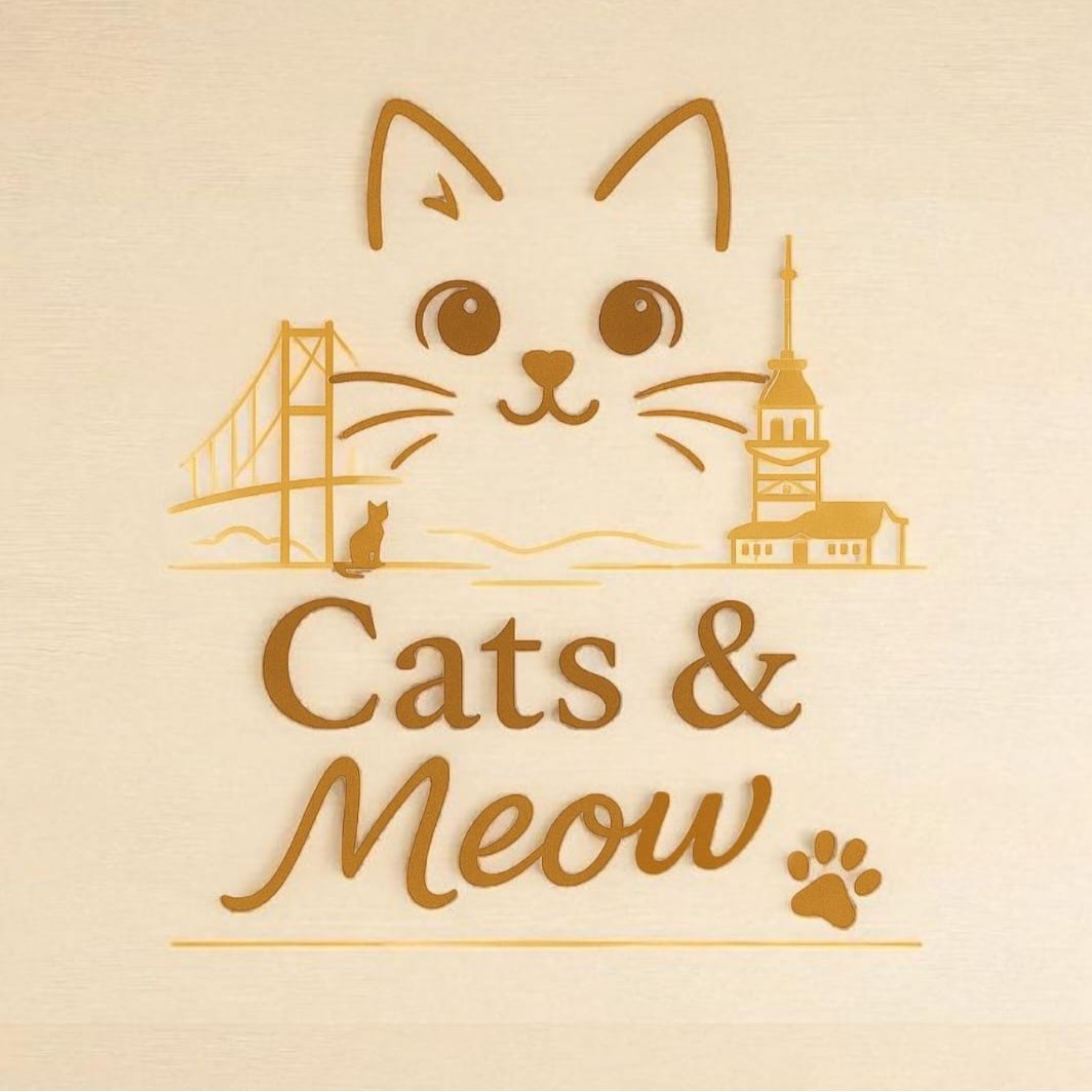 Cats & Meow