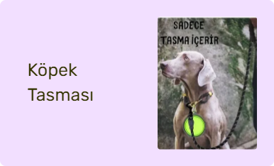 Köpek Tasması