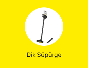 Dik Süpürge