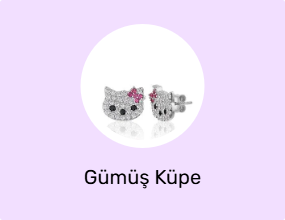 Gümüş Küpe