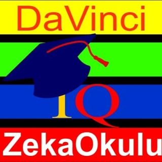 DAVİNCİ ZEKA MERKEZİ logo