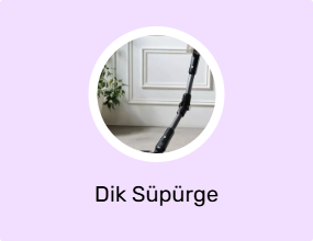 Dik Süpürge