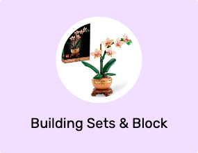 Building Sets & Block Toys