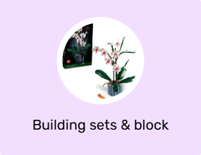 Building sets & block toys