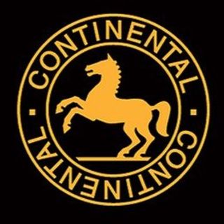 ergunlar conti
