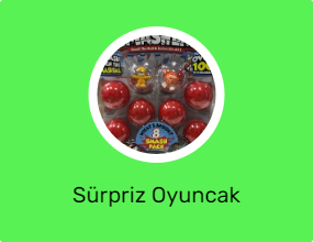 Sürpriz Oyuncak Figürleri