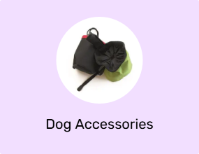 Dog Accessories