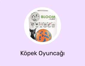 Köpek Oyuncağı
