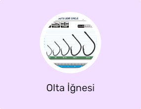 Olta İğnesi