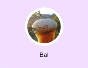 Bal