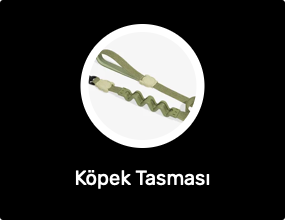 Köpek Tasması