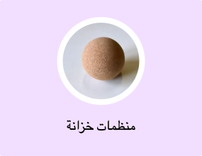 منظمات خزانة