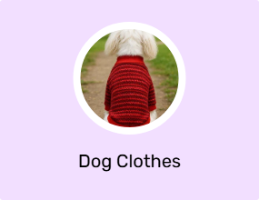 Dog Clothes