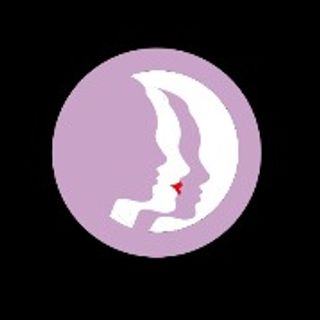 LADY PİXİE logo