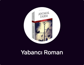 Yabancı Roman