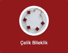 Çelik Bileklik