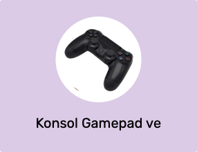 Konsol Gamepad ve Joystick