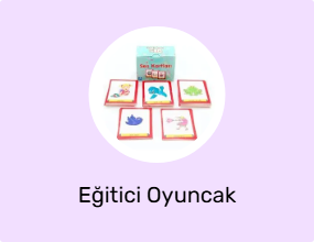 Eğitici Oyuncak