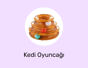 Kedi Oyuncağı
