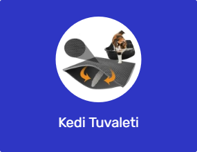 Kedi Tuvaleti