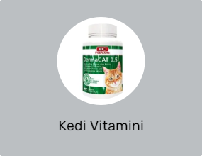 Kedi Vitamini