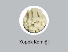 Köpek Kemiği