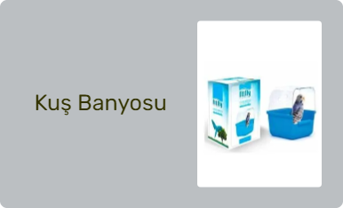Kuş Banyosu