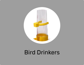 Bird Drinkers