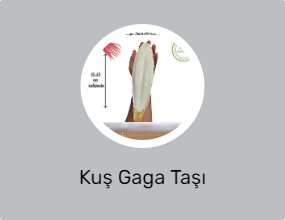 Kuş Gaga Taşı