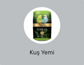 Kuş Yemi