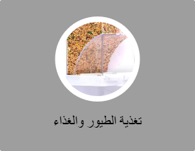 تغذية الطيور والغذاء