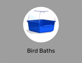 Bird Baths