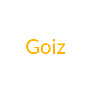 Goiz Shop