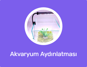 Akvaryum Aydınlatması