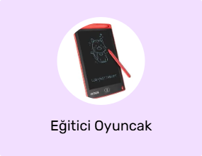 Eğitici Oyuncak